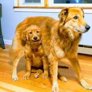 Meet your Posher, Mary